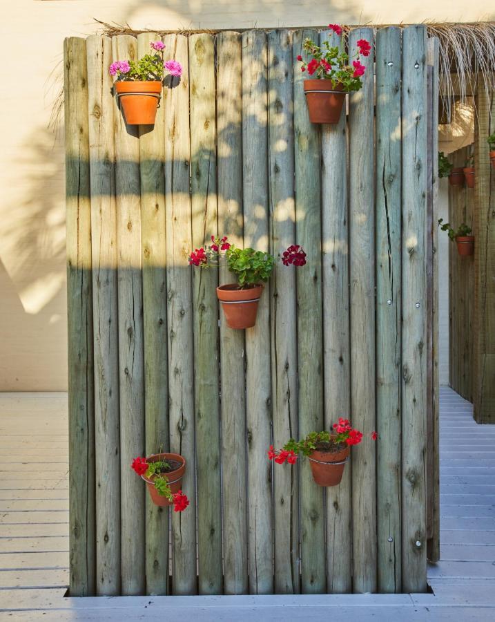 Posada Tamarindo Хосе-Игнасио Экстерьер фото